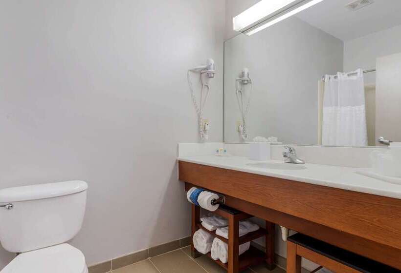 בית מלון כפרי Comfort Suites La Porte