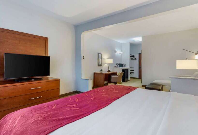 בית מלון כפרי Comfort Suites La Porte