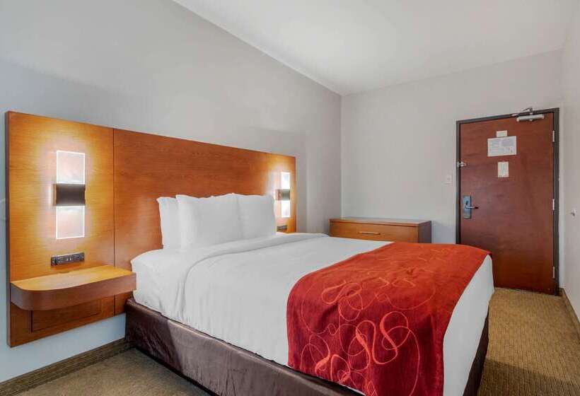 בית מלון כפרי Comfort Suites La Porte