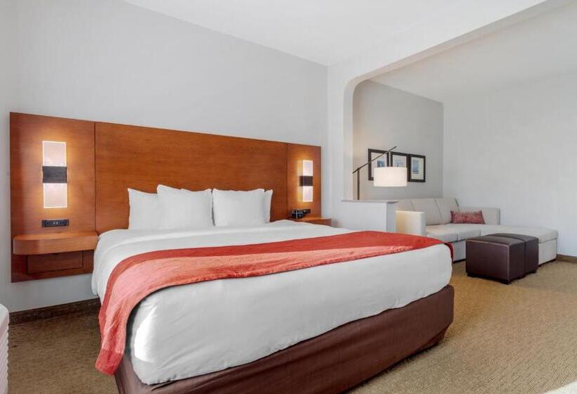 בית מלון כפרי Comfort Suites La Porte