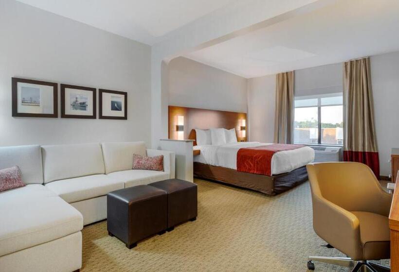 בית מלון כפרי Comfort Suites La Porte