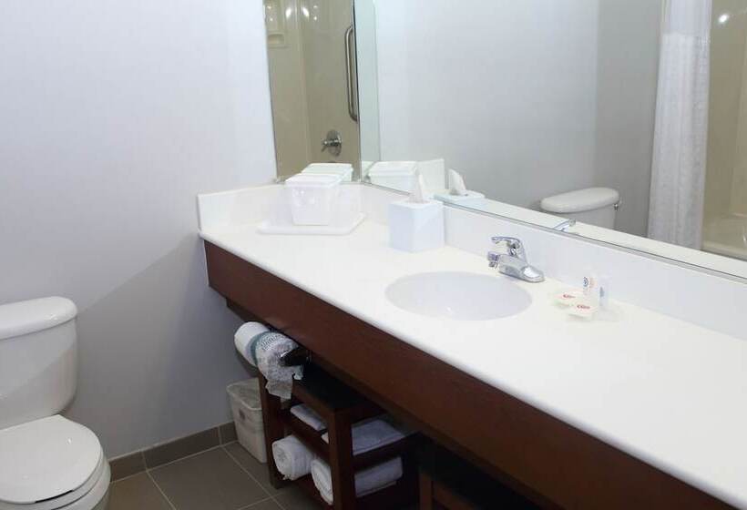 בית מלון כפרי Comfort Suites La Porte