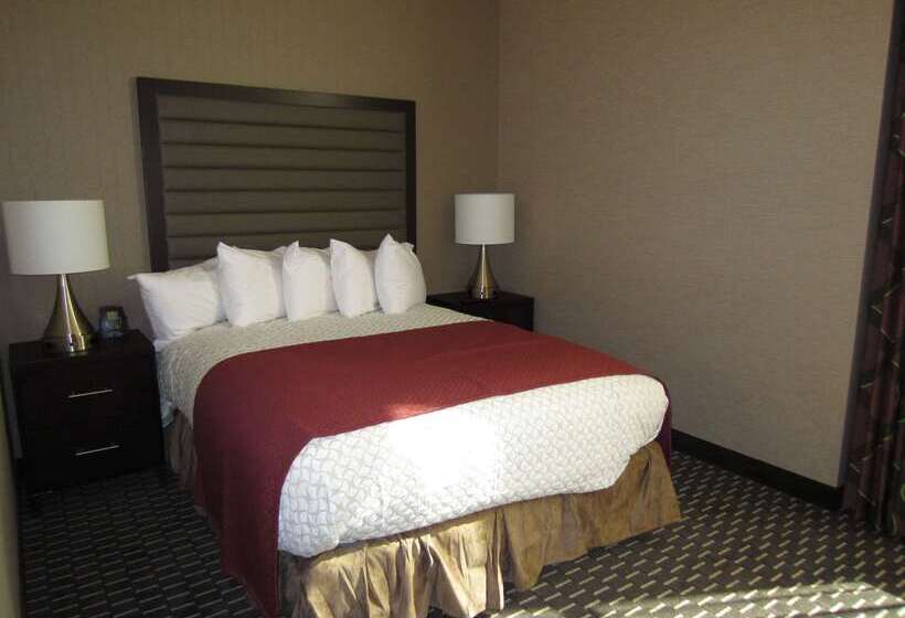 هتل Embassy Suites By Hilton St. Louis Downtown