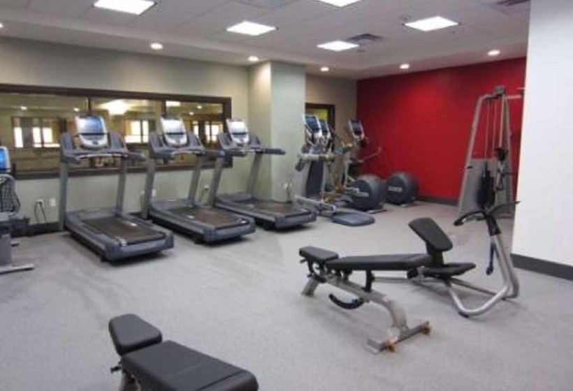 هتل Embassy Suites By Hilton St. Louis Downtown