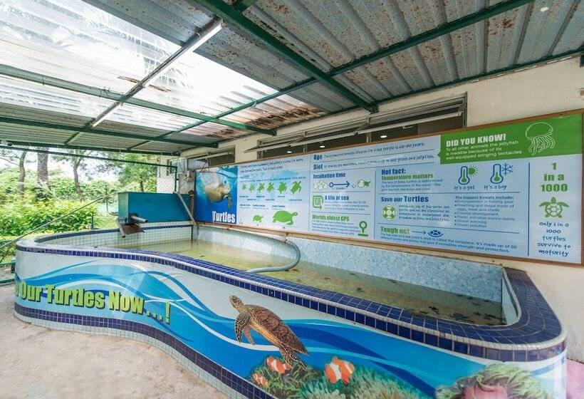 هتل Glory Beach Resort