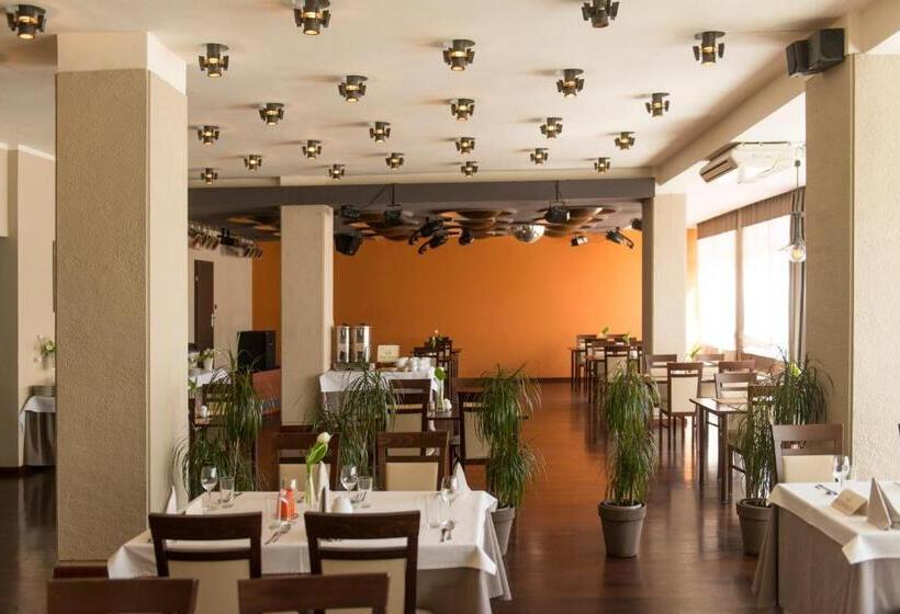 酒店 Gorzów