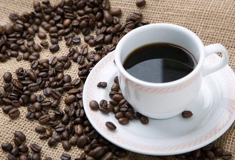 فندق Kurobe Kanko