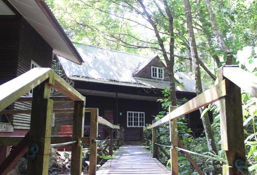 هتل Permai Rainforest Resort