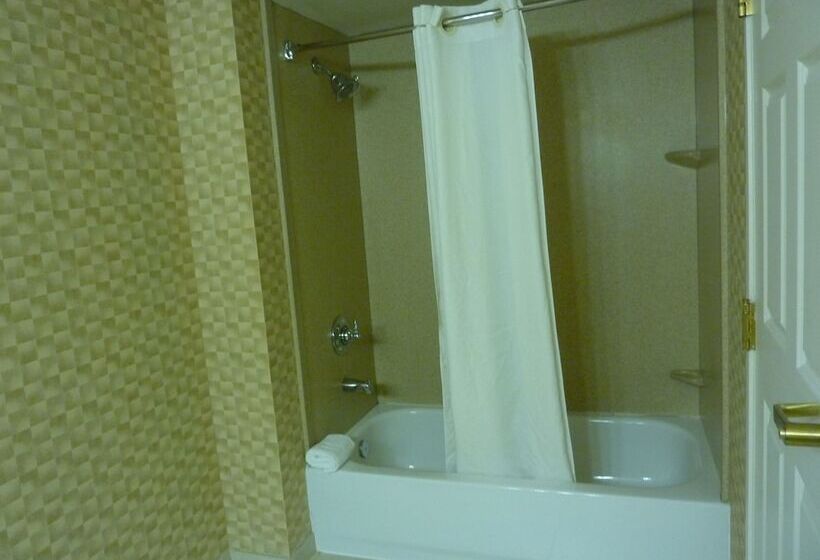 هتل Wingate By Wyndham Erlanger   Florence   Cincinnati South