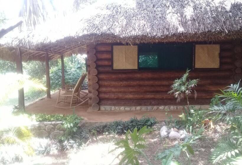 בית מלון כפרי Room In Lodge   Sierraverde Cabin Cabaña El Cedro