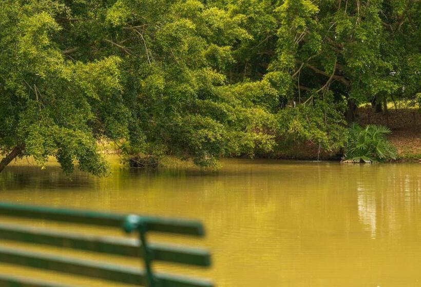 ホテル Grinbergs Village