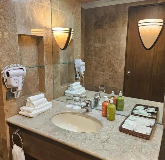 ホテル Holiday Inn & Suites Batangas Limapark, An Ihg