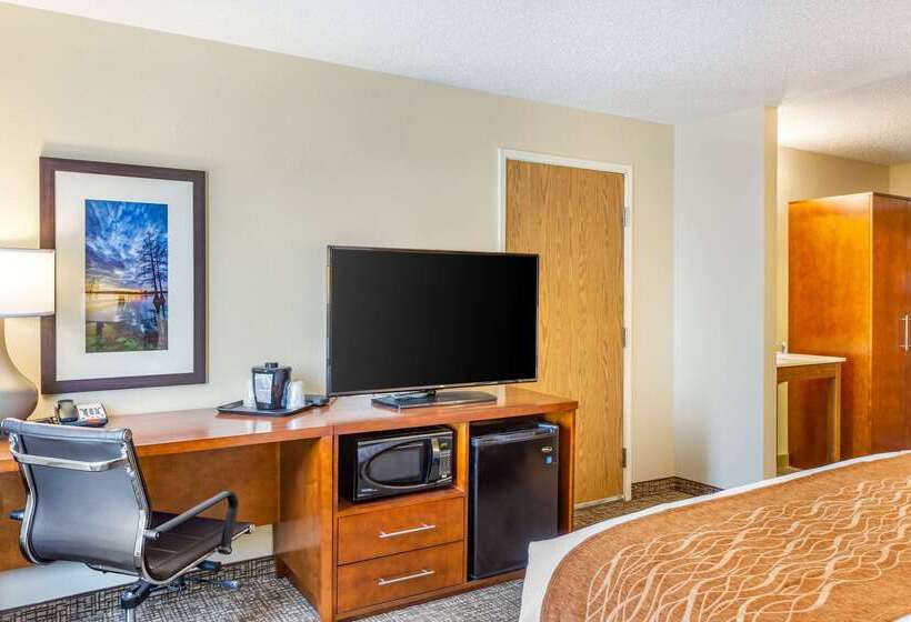 酒店 Comfort Inn Dekalb  Adjacent The University