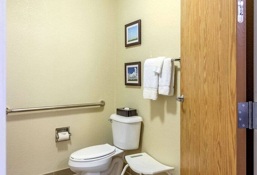 酒店 Comfort Inn Dekalb  Adjacent The University