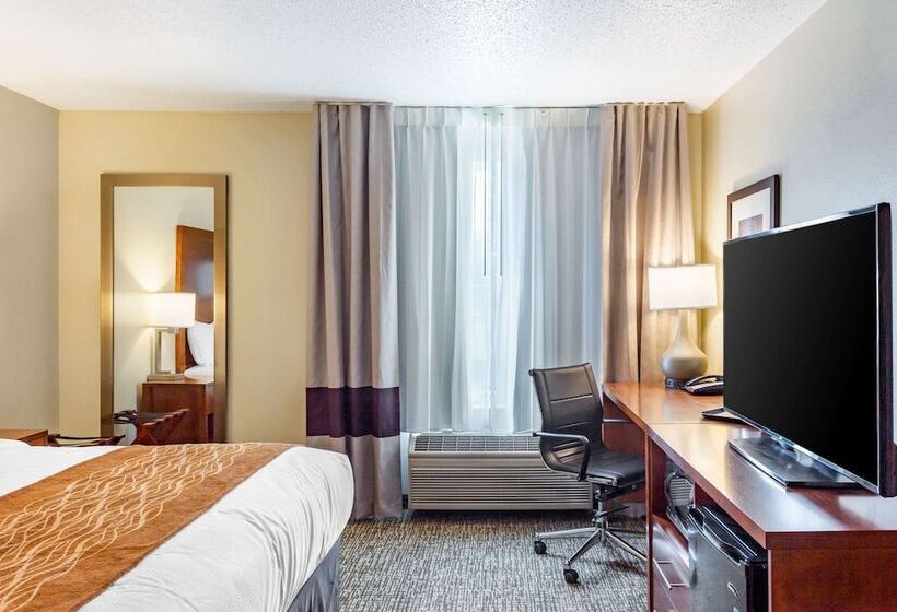 בית מלון כפרי Comfort Inn Dekalb  Adjacent The University