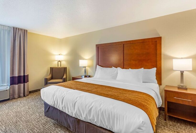 בית מלון כפרי Comfort Inn Dekalb  Adjacent The University