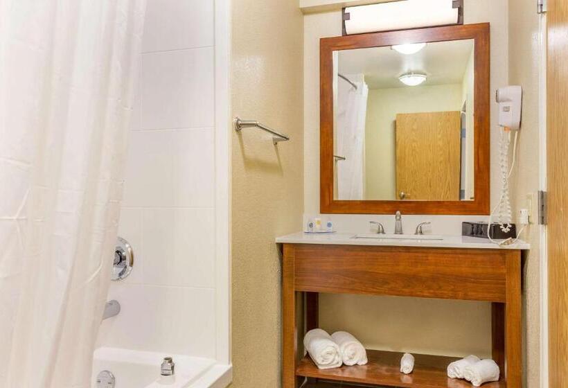 酒店 Comfort Inn Dekalb  Adjacent The University