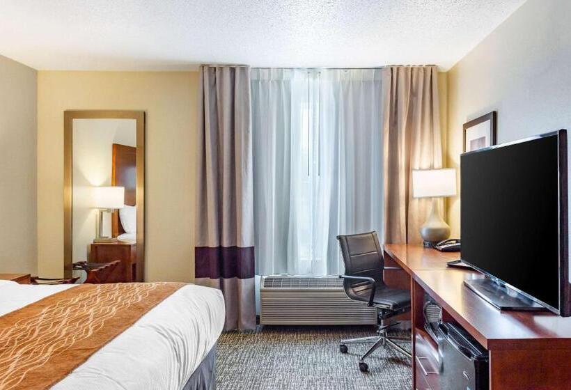 בית מלון כפרי Comfort Inn Dekalb  Adjacent The University