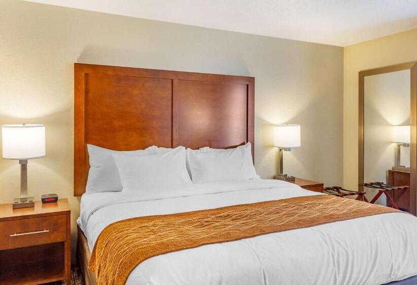 호텔 Comfort Inn Dekalb  Adjacent The University