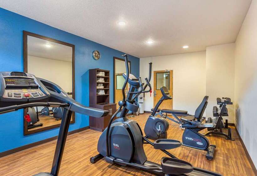 酒店 Comfort Inn Dekalb  Adjacent The University