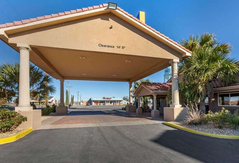 فندق Comfort Inn & Suites