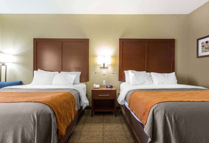 فندق Comfort Inn & Suites