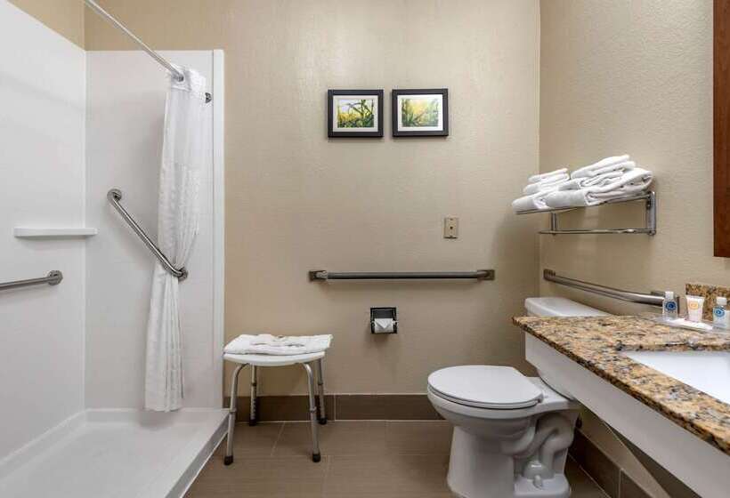 בית מלון כפרי Comfort Suites Auburn Near I69
