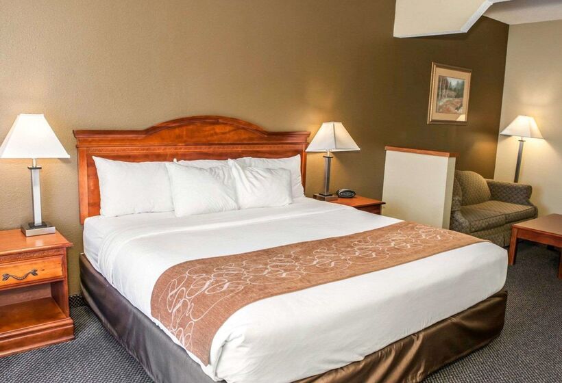 בית מלון כפרי Comfort Suites Auburn Near I69