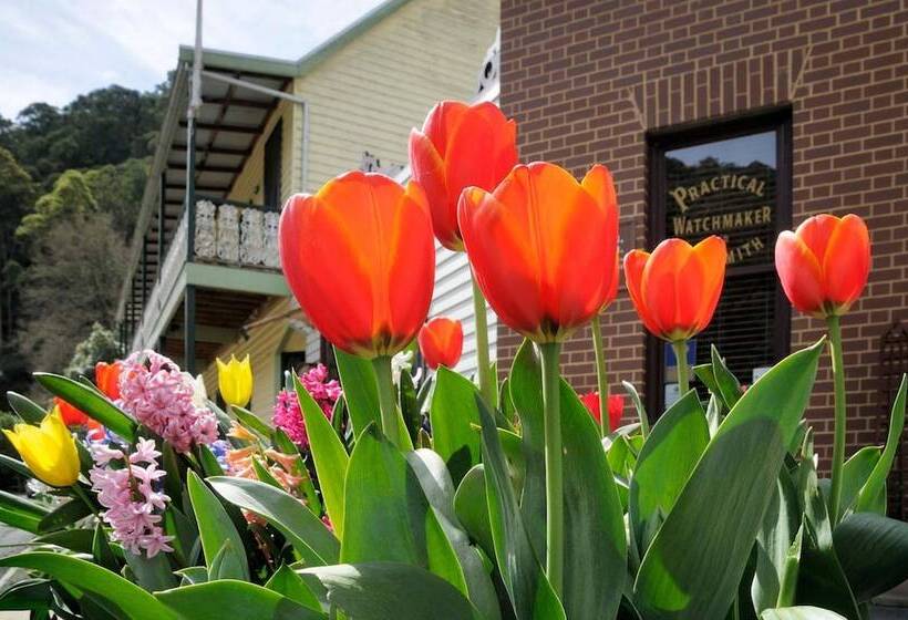 酒店 Walhallas Star