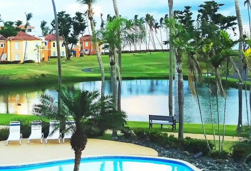 Palm View