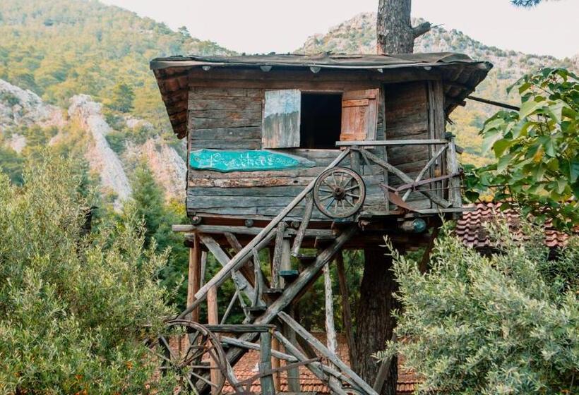 هاستل Kadir S Top Tree Houses