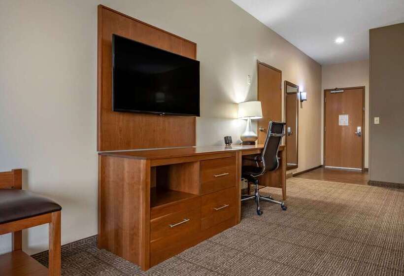 Comfort Suites Hotel And Conference Center