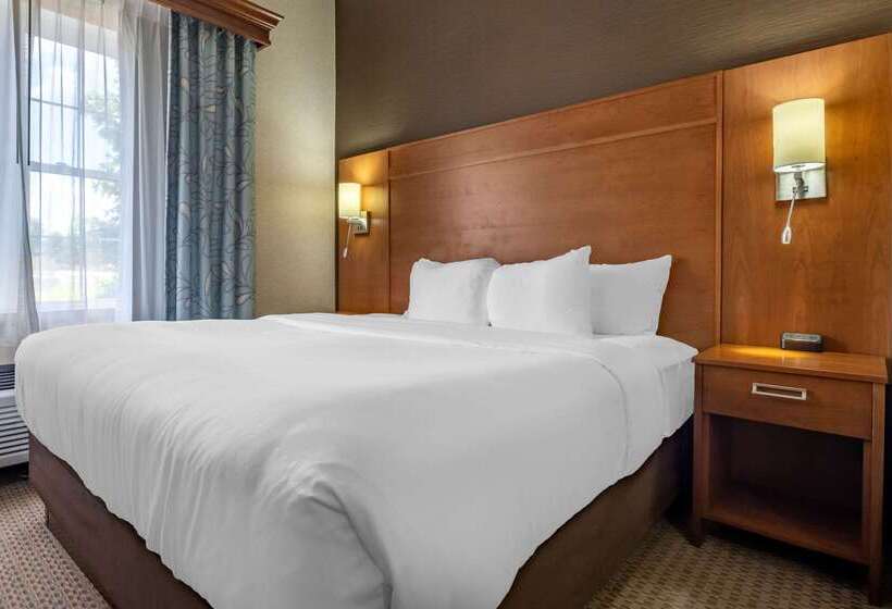 Comfort Suites Hotel And Conference Center