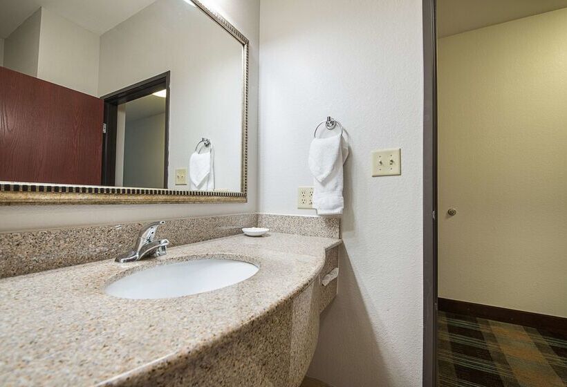 בית מלון כפרי Best Western Plus Deridder Inn & Suites