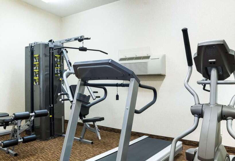هتل Comfort Inn & Suites