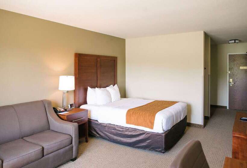 هتل Comfort Inn & Suites