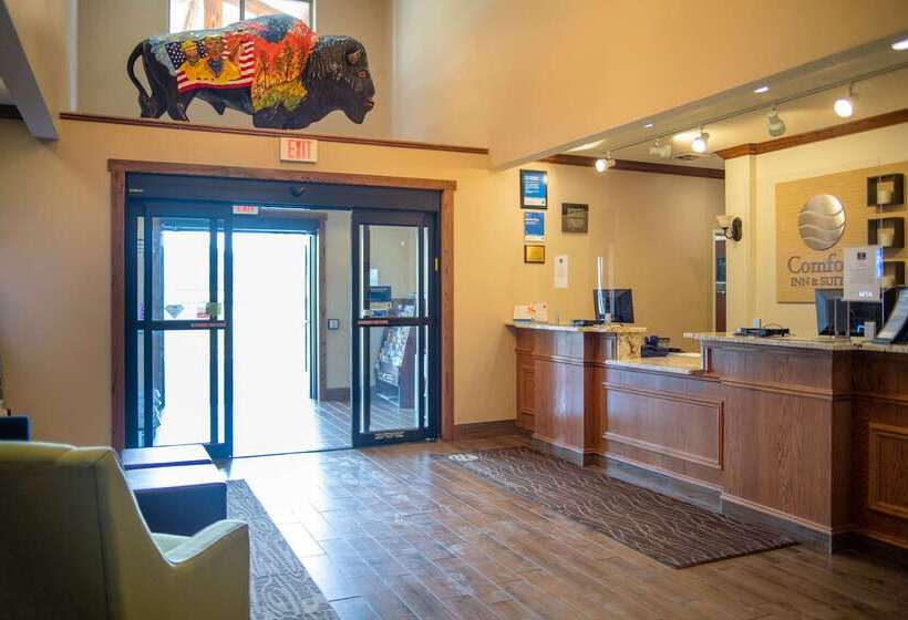 هتل Comfort Inn & Suites