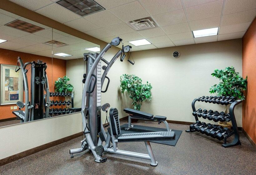 فندق Comfort Inn & Suites