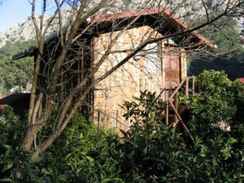 هتل Bayrams Tree Houses
