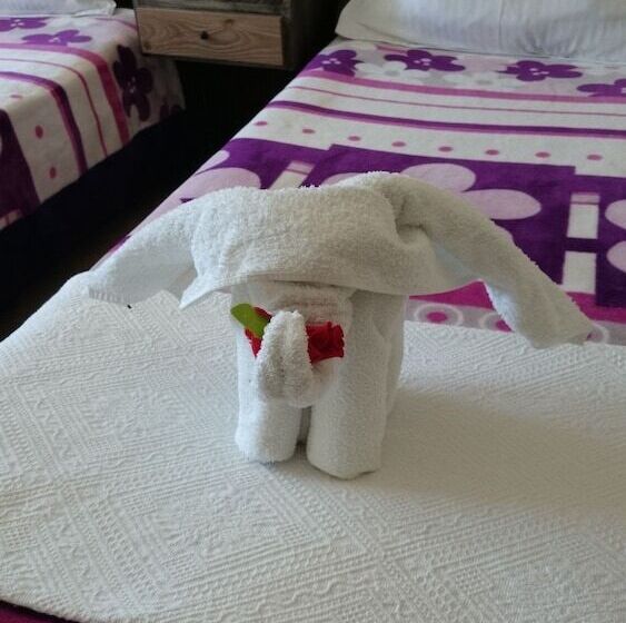 هتل Wallabies Aquaduct