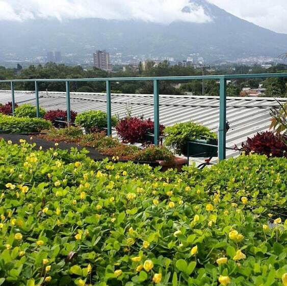 árbol De Fuego Eco Hotel, A Green Experience In The City