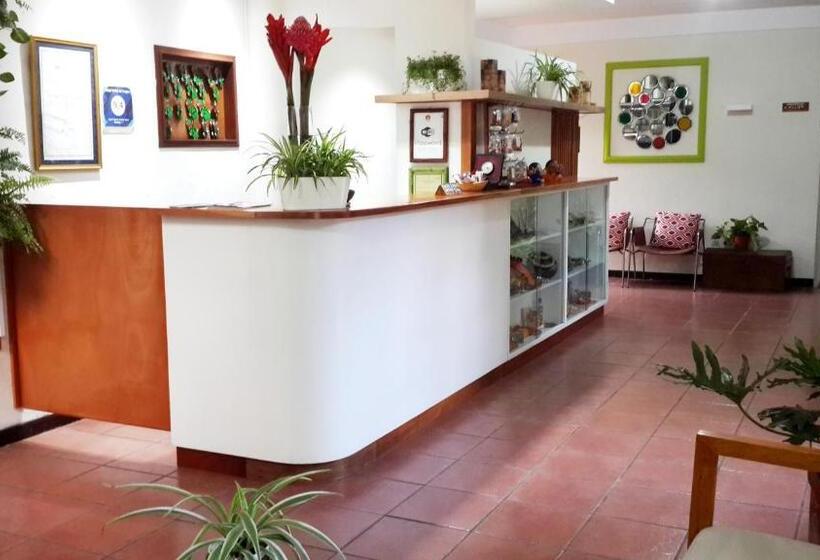 árbol De Fuego Eco Hotel, A Green Experience In The City