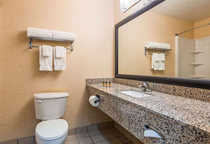 فندق Best Western Plus Howe Inn