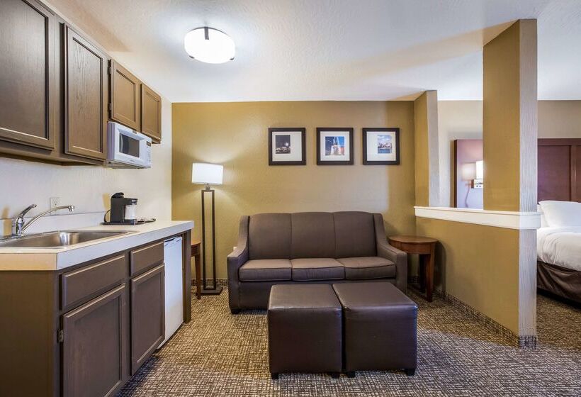 호텔 Comfort Inn & Suites Fairborn Near Wright Patterson Afb