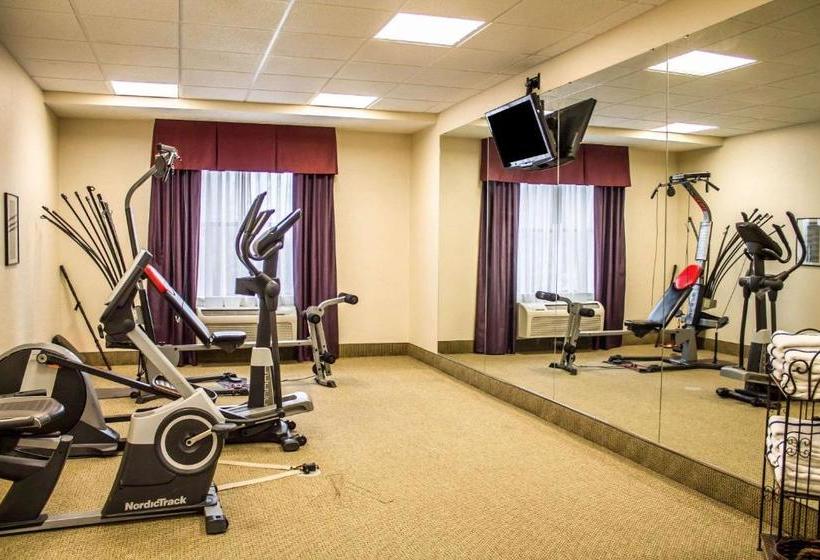 ホテル Comfort Inn & Suites Kent  University Area