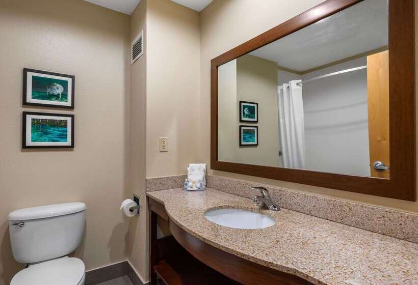 Отель Comfort Inn & Suites Wildwood  The Villages