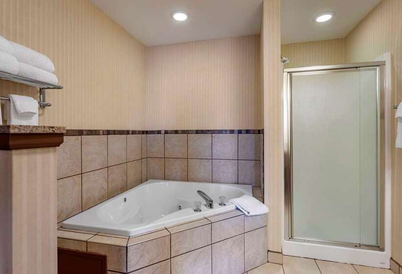 בית מלון כפרי Comfort Suites Florence Shoals Area