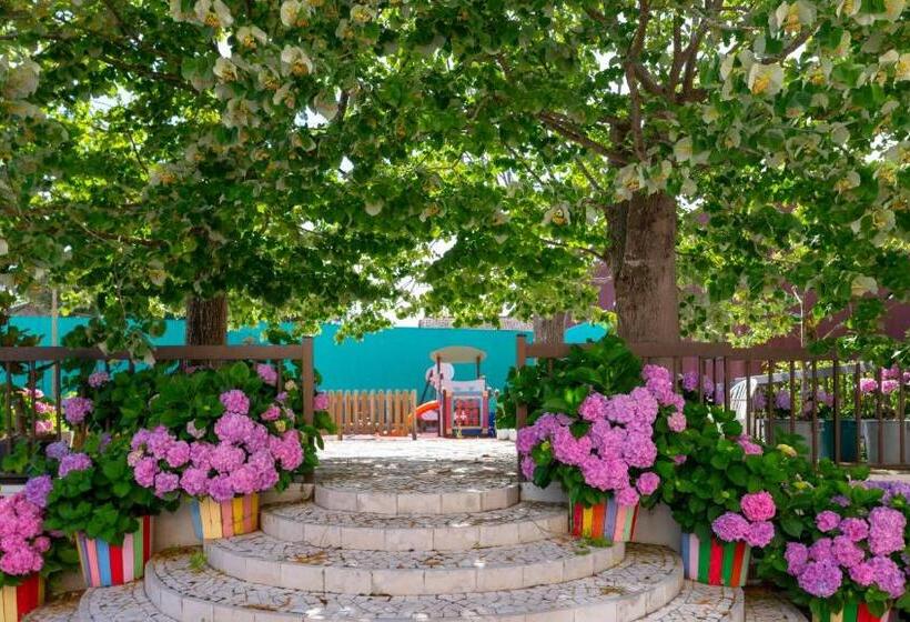D. Afonso Hotel & Spa