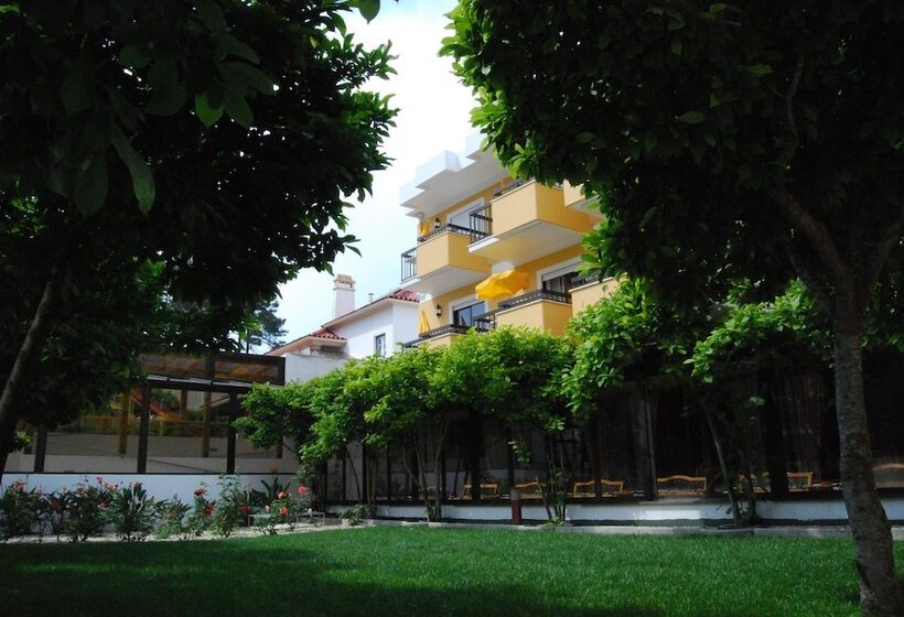 D. Afonso Hotel & Spa