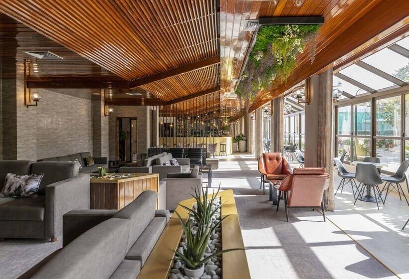 D. Afonso Hotel & Spa